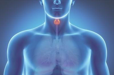 Основные причины и лечение увеличения щитовидной железы